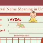 Ayzal Name Meaning in Urdu