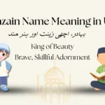 Shahzain Name Meaning in Urdu