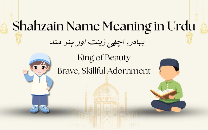 Shahzain Name Meaning in Urdu
