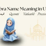 Shibra Name Meaning in Urdu