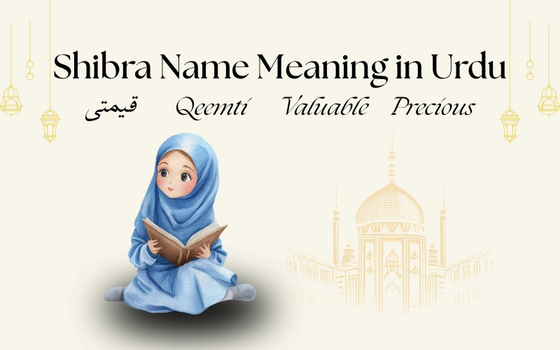 Shibra Name Meaning in Urdu