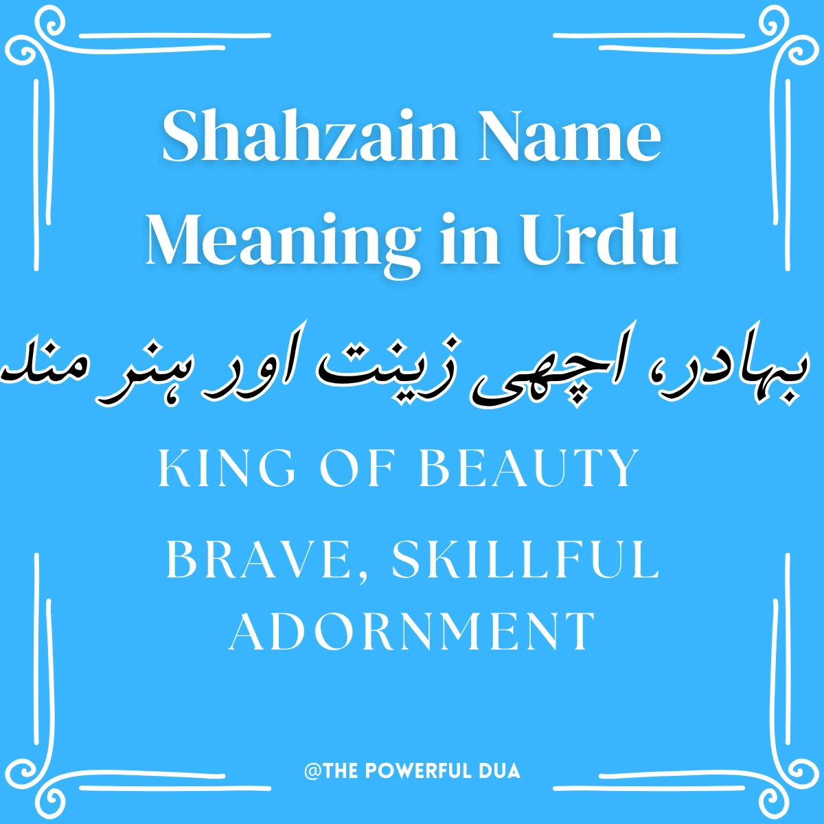 shahzain name meaning in urdu boy