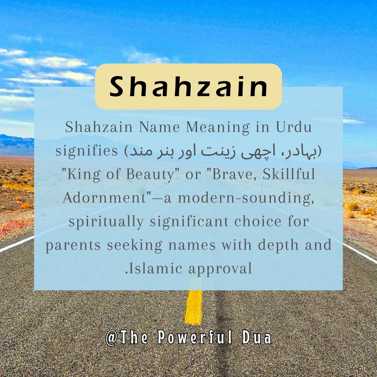 shahzain name meaning in urdu in islam