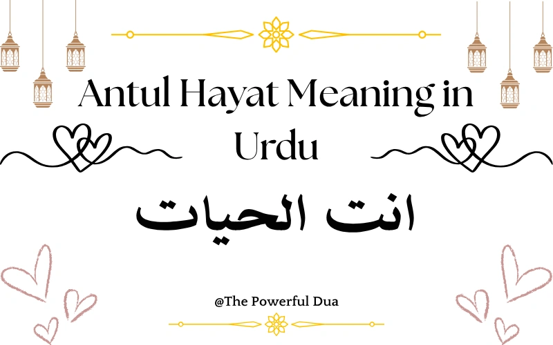 Antul Hayat Meaning in Urdu