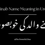 Zainab Name Meaning in Urdu