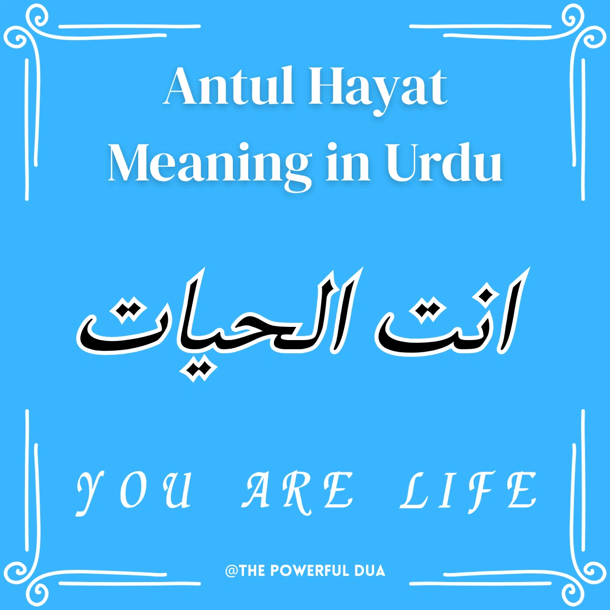 antul hayat meaning in urdu and english