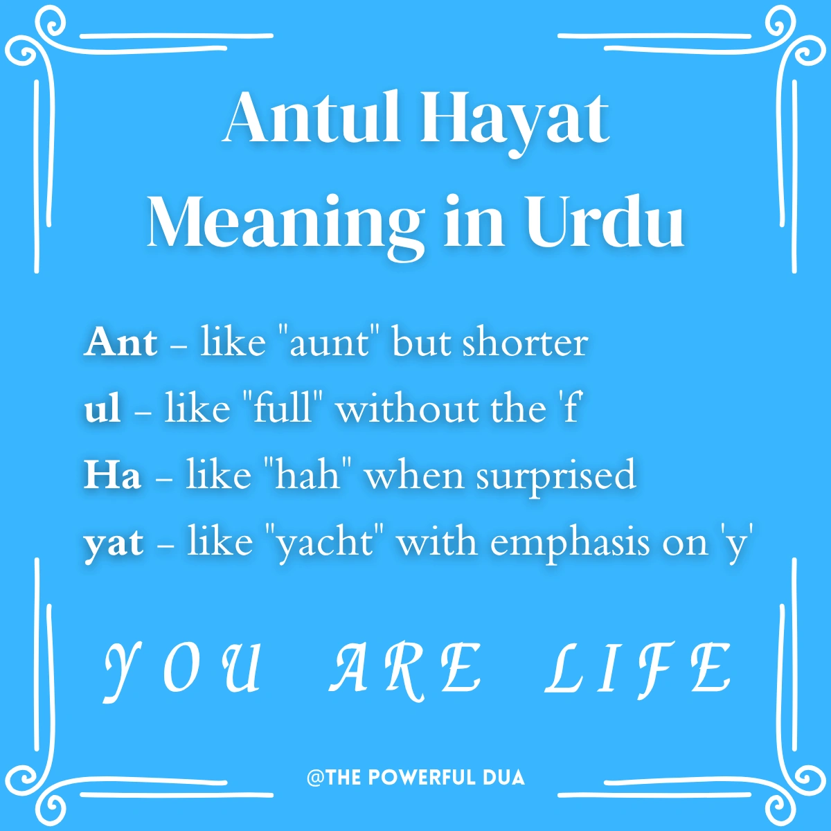 antul hayat meaning in urdu text