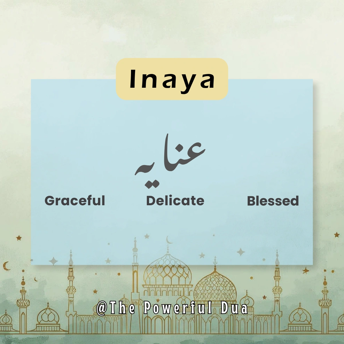 inaya name meaning in urdu girl