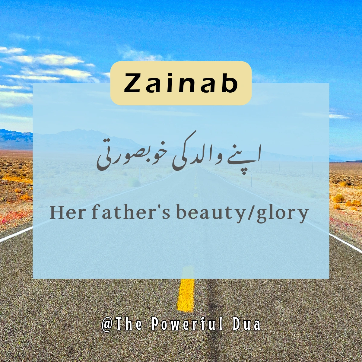 zainab name meaning in urdu in hindi