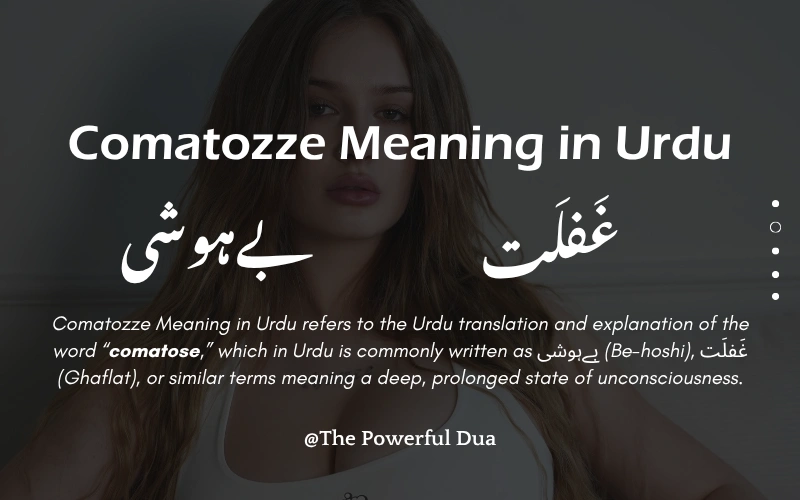 Comatozze Meaning in Urdu: 5 Simple Facts & Real Uses (2026)